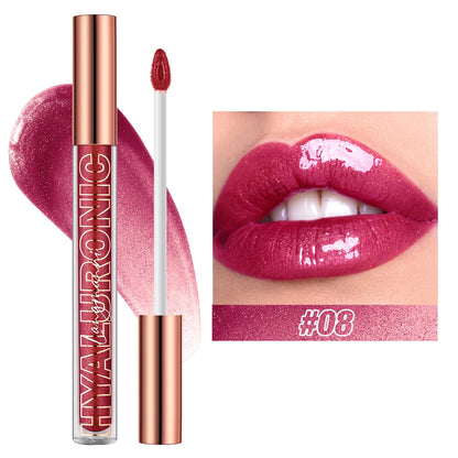 Hyaluronic acid lip gloss