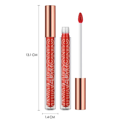 Hyaluronic acid lip gloss